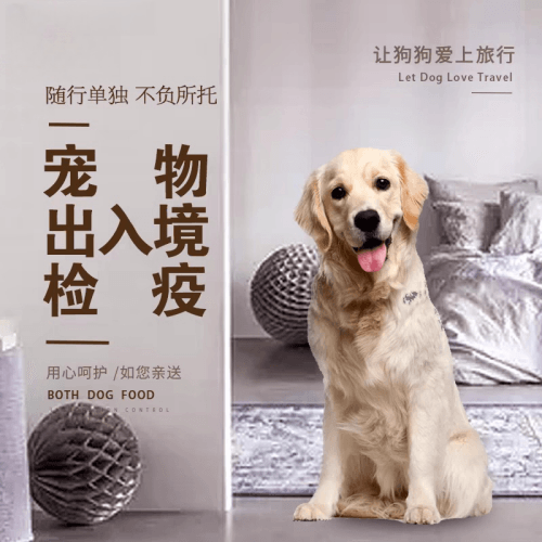 普洱宠物托运到哥伦比亚猫狗宠物入境规定和