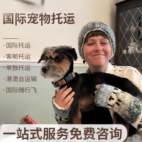 普洱国际宠物托运到阿根廷宠物入境规定和要