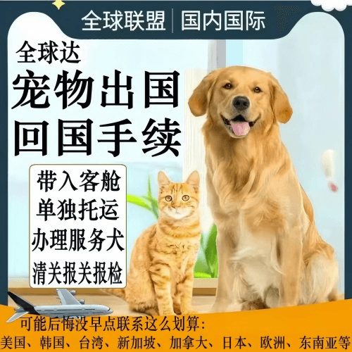 普洱宠物托运到柬埔寨宠物入境规定和要求