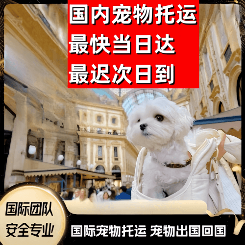 普洱到澳大利亚（澳洲）宠物入境规定和要求